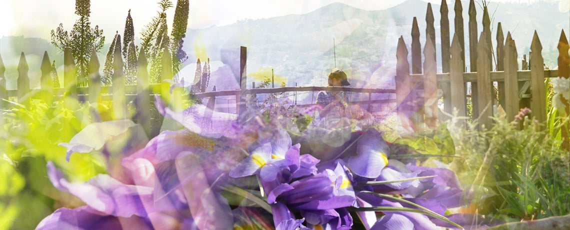 Planting seeds — and change — in a California community garden