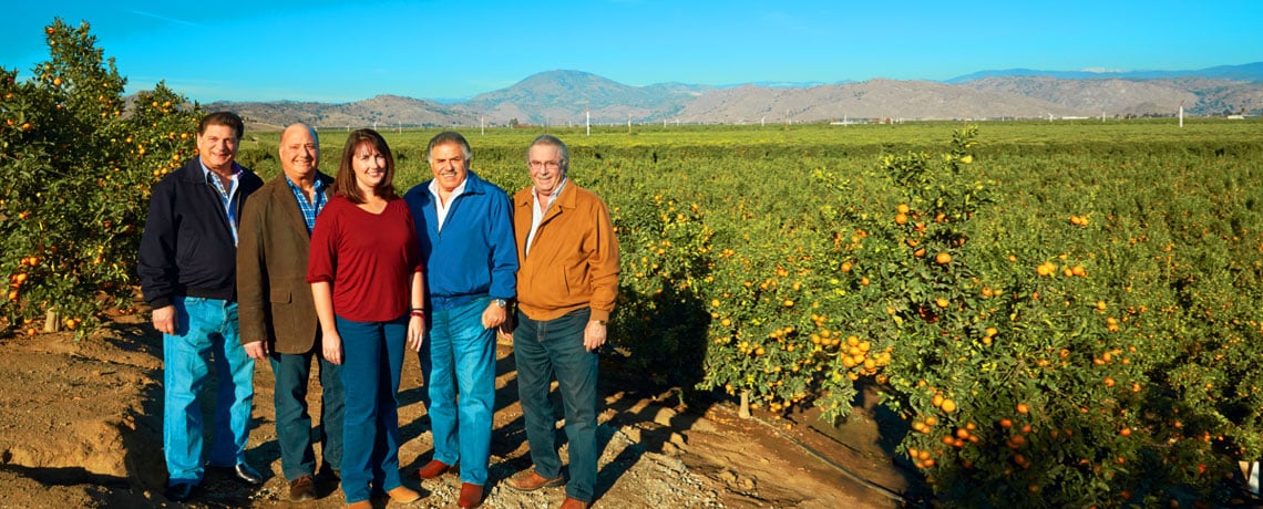 Lending expertise, forward-thinking yield juicy results for grower