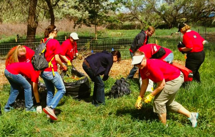Volunteer ‘blitz’ events make an impact on communities