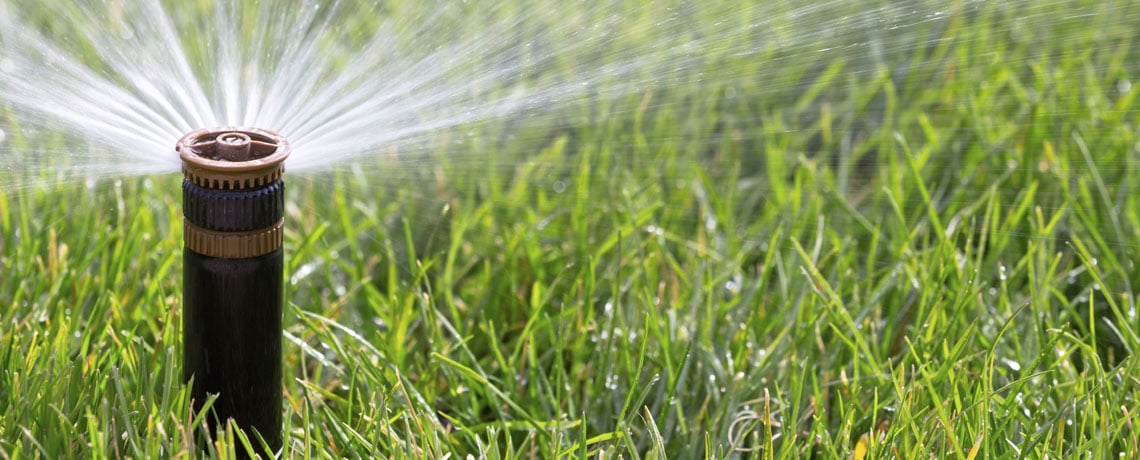 Conserving water with ‘smart’ irrigation at banking stores