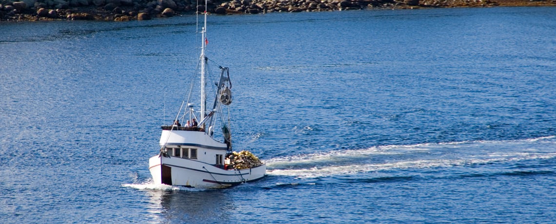 Reviving a fishing dock for the Makah tribe