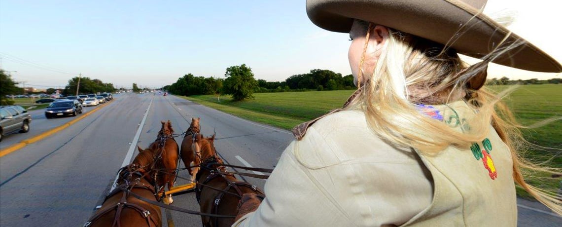 Women behind the reins of the Wells Fargo stagecoach