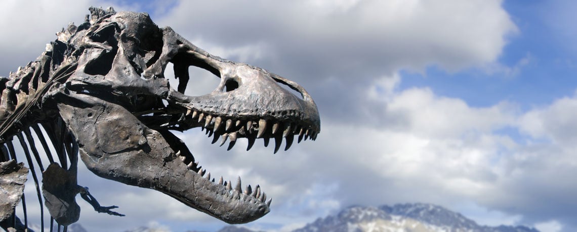 Montana museum reaches (and teaches) kids