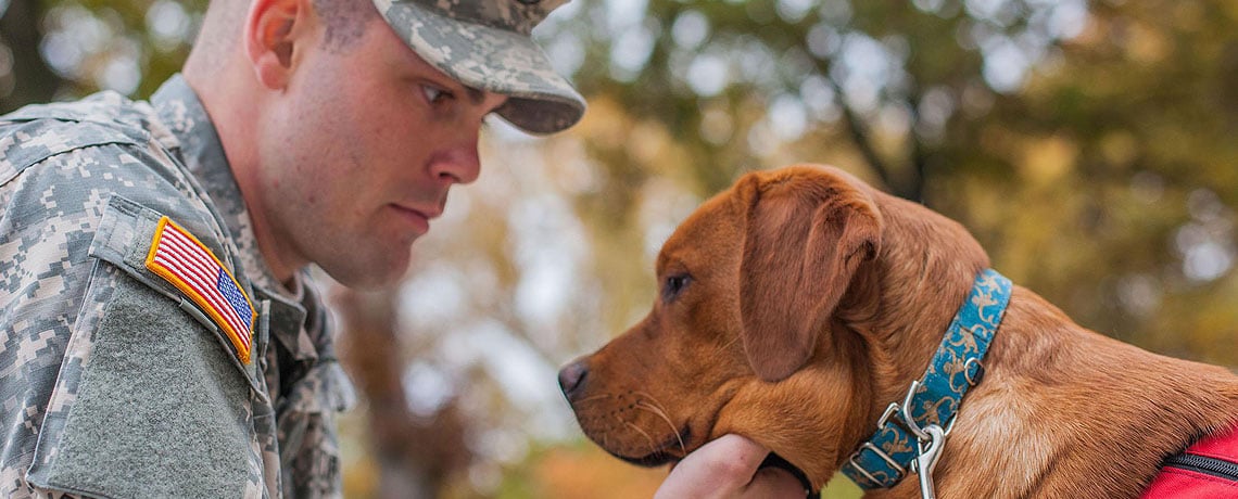 Serving veterans, one paw at a time