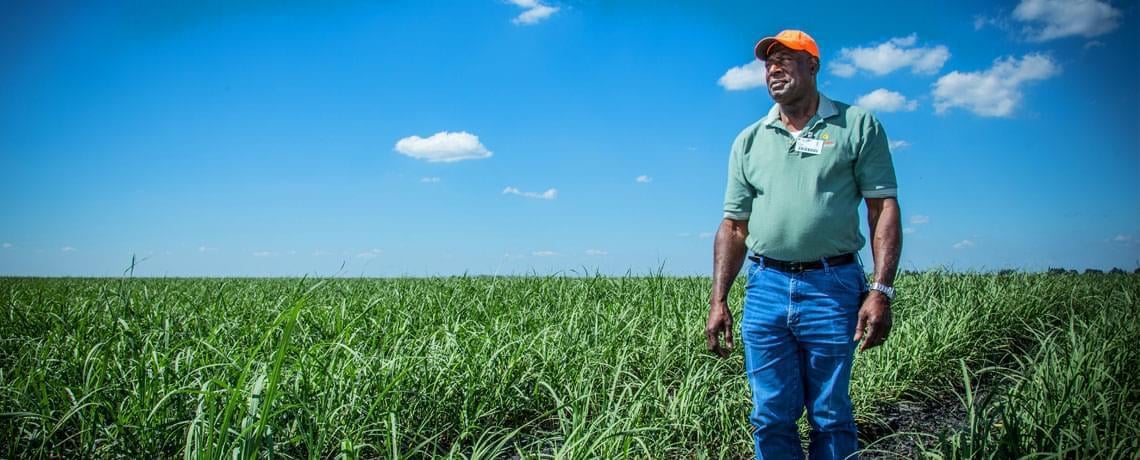Helping an agriculture company find its sweet spot