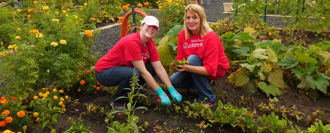 Fighting hunger — one zucchini at a time