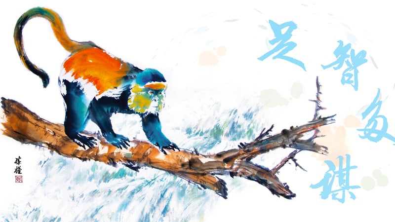 Celebrating the ‘Year of the Monkey’