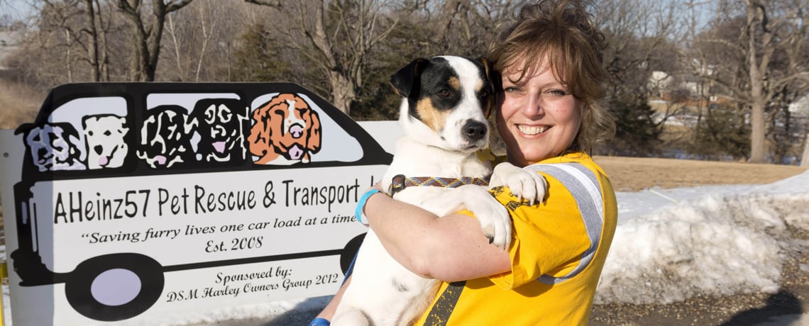 Rescuing pets, finding them ‘forever’ homes