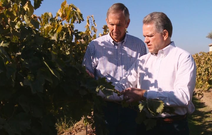 Family farmer leads Wells Fargo’s agribusiness