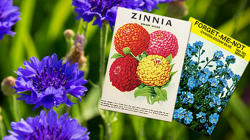 With spring comes a lure to cultivate