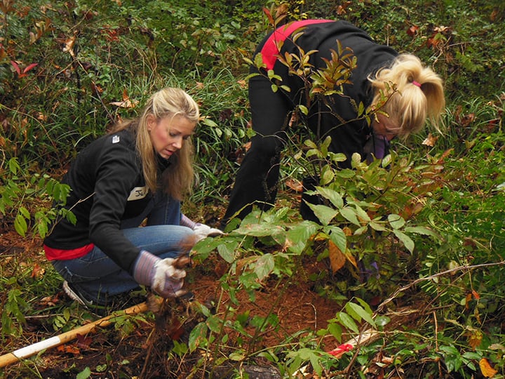 From dumping ground to urban oasis