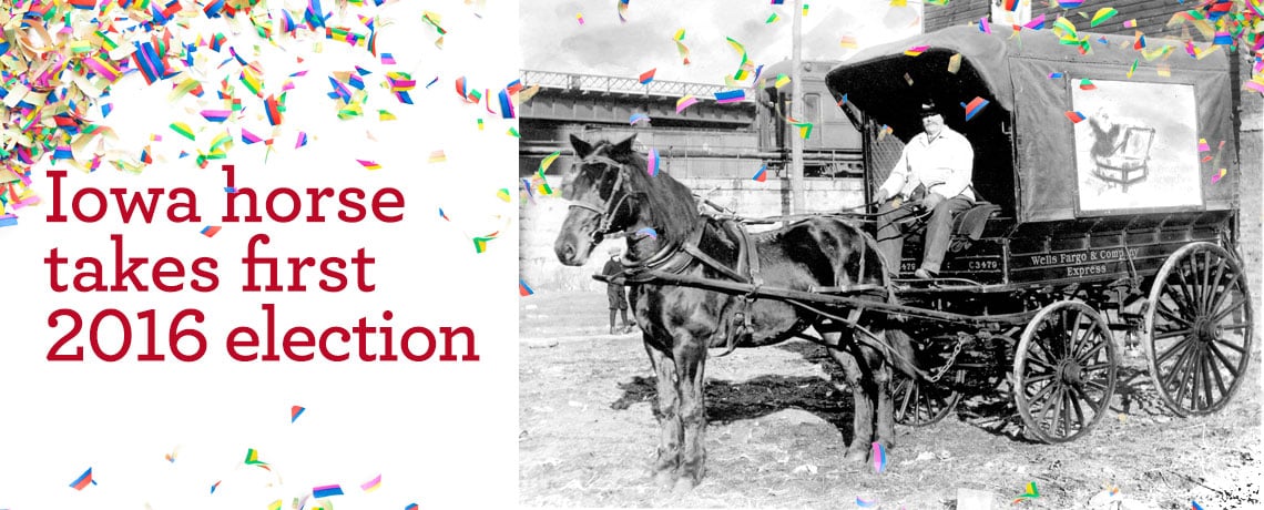 It’s official: ‘Mike’ wins race to be the 2016 Wells Fargo plush pony